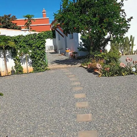 Adelino Olhão