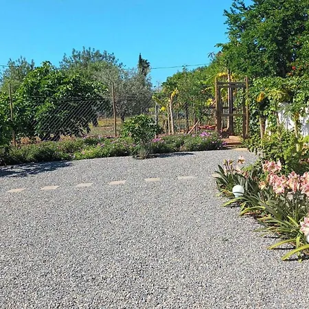 Holiday home Adelino Olhao
