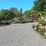 Adelino Сasa de vacaciones *